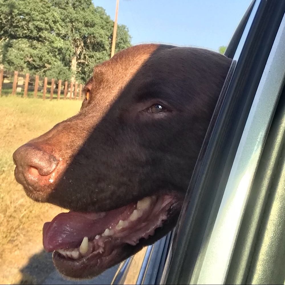 Meet your Posher, Aldo